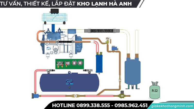Nguyên lý hoạt động kho lạnh bảo quản nấm